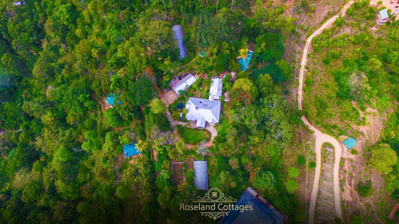 Roseland Cottages 반다라웰라 외부 사진
