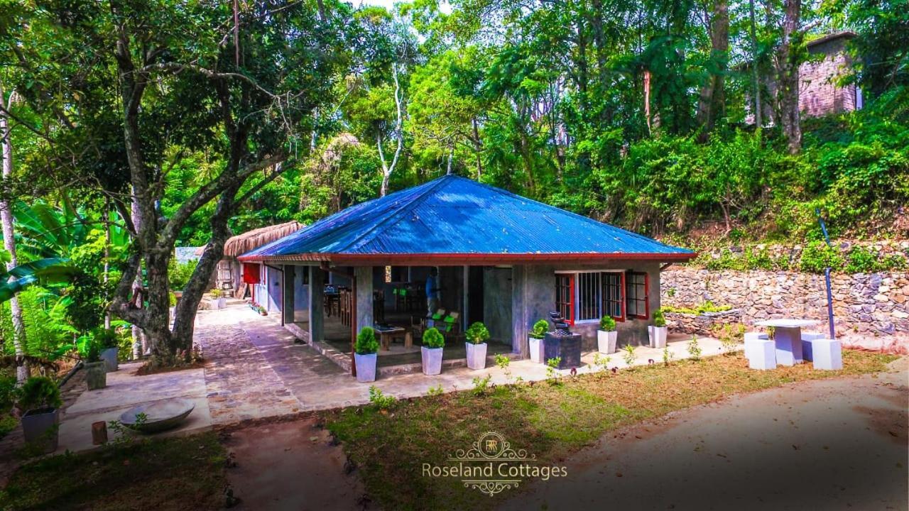 Roseland Cottages 반다라웰라 외부 사진