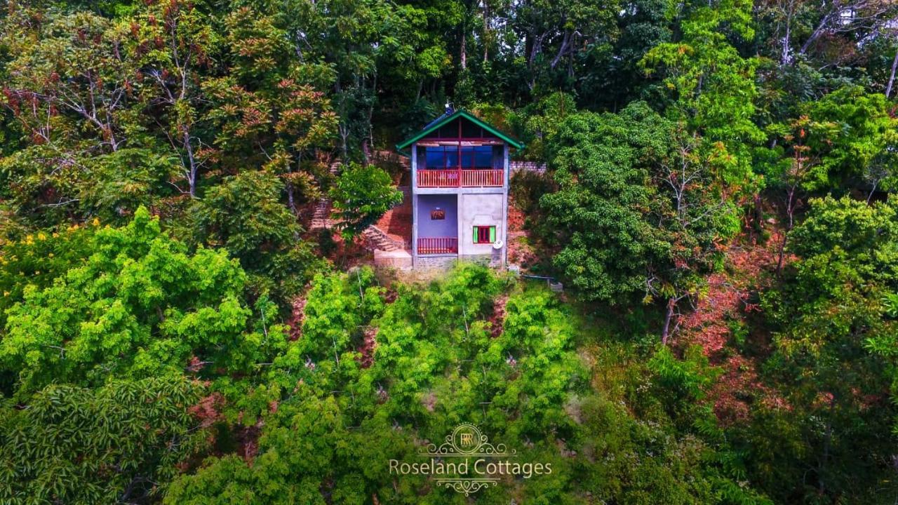Roseland Cottages 반다라웰라 외부 사진