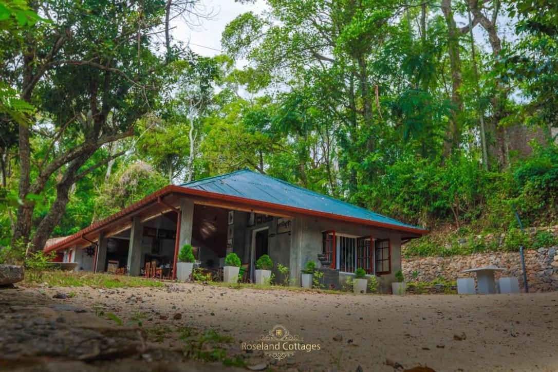 Roseland Cottages 반다라웰라 외부 사진